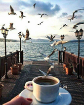 Без бренда «Кофе с видом на чаек» в Тамбове