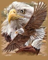 Без бренда «2KMB-4315» в Тамбове