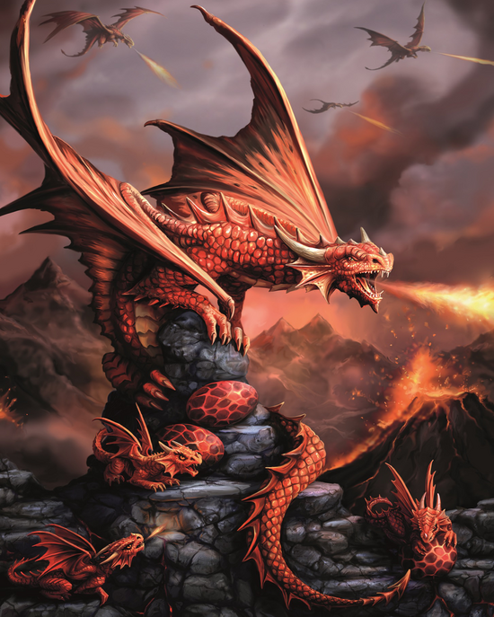 Алмазная мозаика 40x50 2KMB-4923