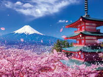 Без бренда «2KSB-7277» в Тамбове