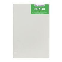 Без бренда «Коробка 80 шт.: Холст Две картинки на подрамнике 20X30» в Тамбове