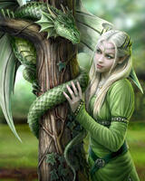 Без бренда «Коробка 20 шт: Дракон и эльф» в Тамбове