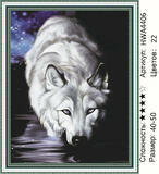 Алмазная мозаика 40x50 Светлый волк темной ночью
