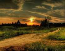 Без бренда «Проселочная дорога на закате» в Тамбове