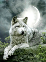 Без бренда «Коробка 25 шт. картин по номерам BOX25-GX21058» в Тамбове