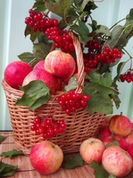 Без бренда «Коробка 25 шт. картин по номерам BOX25-GX5174» в Тамбове