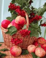 Без бренда «Плетёная корзина с калиной и яблоками» в Тамбове