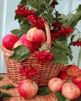 Без бренда «Плетёная корзина с калиной и яблоками» в Тамбове в интернет-магазине  Без бренда «Плетёная корзина с калиной и яблоками» в Тамбове