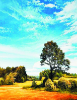 Без бренда «Осенний пейзаж с голубым небом» в Тамбове