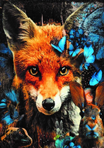 Лиса и синие бабочки