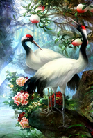 Без бренда «Коробка 25 шт. картин по номерам BOX25-GX29399» в Тамбове в интернет-магазине  Без бренда «Коробка 25 шт. картин по номерам BOX25-GX29399» в Тамбове