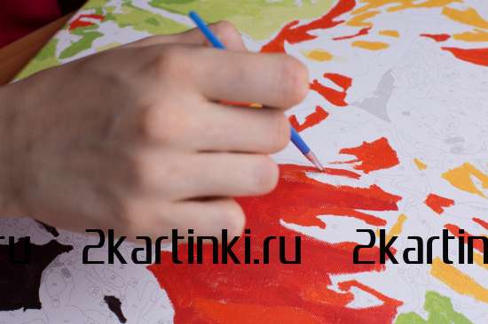 Картина по номерам 40x50 GX34252 Милая птичка на цветущем подсолнухе за 440 руб.  в интернет-магазине  Картина по номерам 40x50 Милая птичка на цветущем подсолнухе