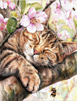 Без бренда «Волосатый котик спит на ветви яблони» в Тамбове