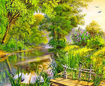 Аисты у реки