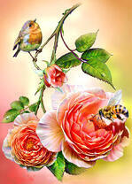 Пчела и птичка на розе