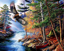 Полет орла над лесной рекой