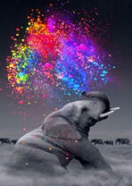 Слоненок выпускает из хобота радугу